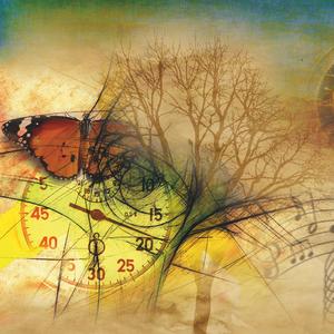 La Java des Illusions