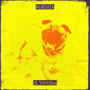 Ruedita