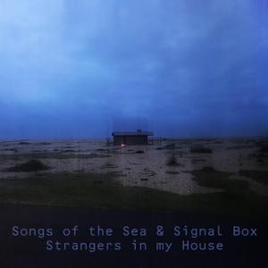 Strangers in my House (feat. Signal Box)