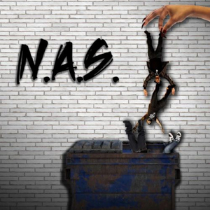 N.A.S.