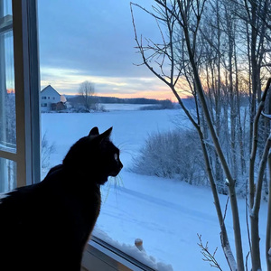 下载您的文件 — Convertio(2)