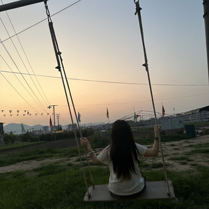 北极光与沙漠的风