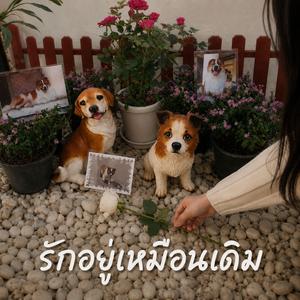 รักอยู่เหมือนเดิม