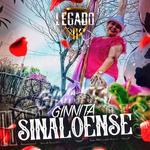 GINNITA SINALOENSE