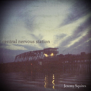 Central Nervous Station