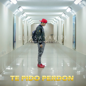 Te Pido Perdón
