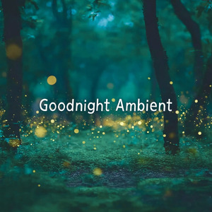 心を癒す優しいアンビエント δ波 ソルフェジオ周波数が快眠へ導く