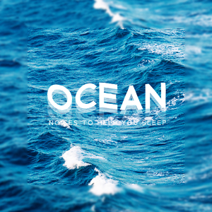 Seagulls: Enjoy the Moment