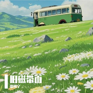 旧磁带面