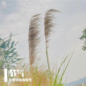 风里雨里赶路人