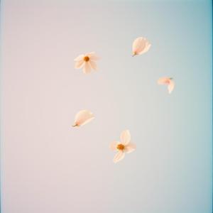 너만 있으면 돼