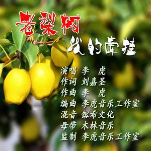 老梨树，我的牵挂 高保真 文件(演唱 李虎) 伴奏