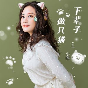 下辈子想做只猫