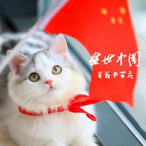 盛世中国—苦难中开花