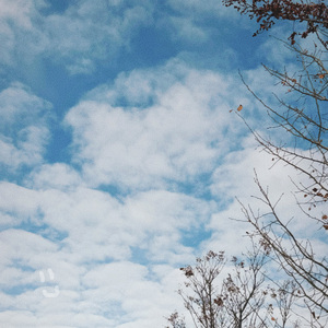 i still see your ghost