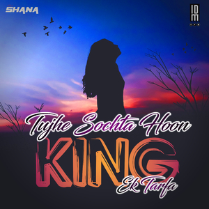 King X Tujhe Sochta Hoon (Drill Mix)