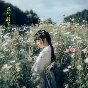 我的将军啊（翻自 MC半阳）