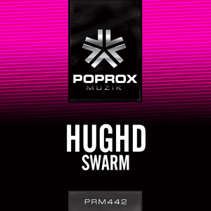 Swarm (Original Mix)