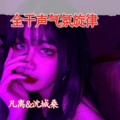 气质迷人纯电旋律 (DJ版)