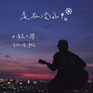 走在冷风中（吉他纯净版）