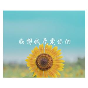 我想我是爱你的