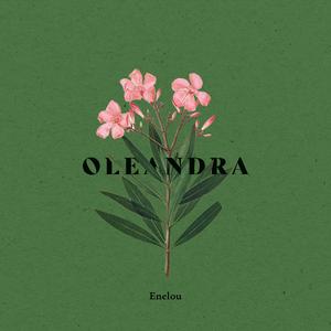 Oleandra