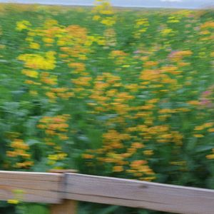 稻草人（feat.言泽宇）