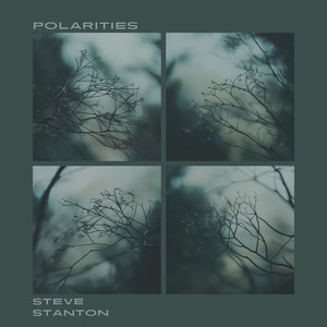Polarities