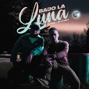 Bajo La Luna