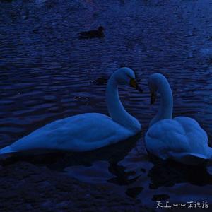 是心动啊(原唱iu High4)