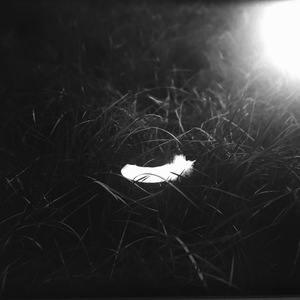 褪黑素（01-01part2）