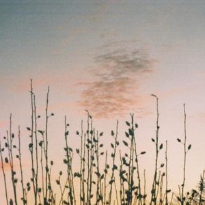 Verzeihen (Take One)