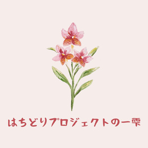 はちどりプロジェクトの一雫