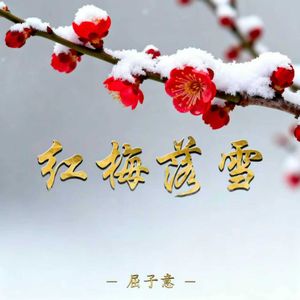 红梅落雪