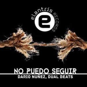 No puedo seguir (Original Mix)