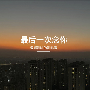 最后一次念你