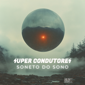 Soneto Do Sono
