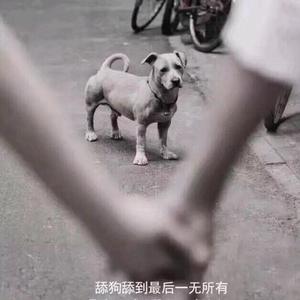 爱上一个不回家的坏女人！