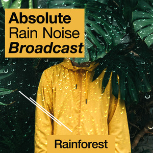 The Rain Nest