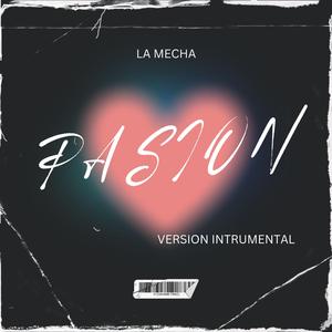 PASION (Version INTUMENTAL)