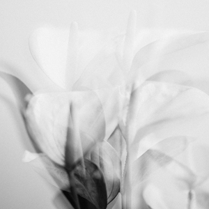 우리가 될 수 있었다면