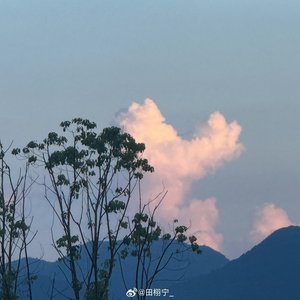 红房子（逆爱同人曲）