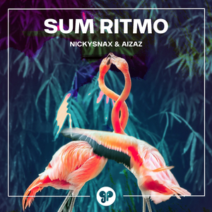Sum Ritmo (Original Mix)