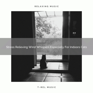 Weather Songs Especially For Home Cats