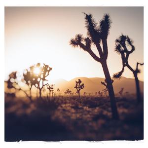 It's Our Time (feat. Roary) (With Oohs & Ahhs )