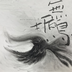 无垢鸟 (光的孩子片尾曲)