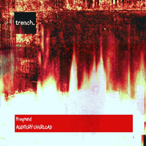 Auditory Overload (Original Mix)