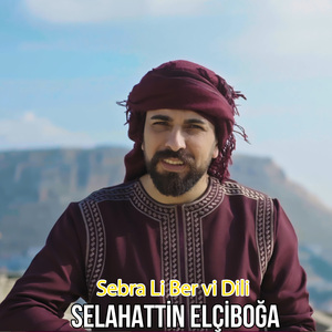 Sebra Li Ber vi Dili