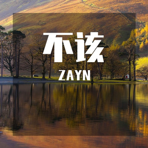 不该