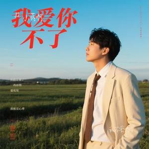 我不爱你了(Cover 张芸京)